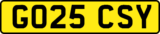 GO25CSY