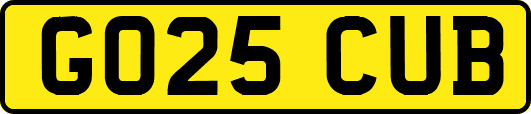 GO25CUB