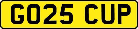 GO25CUP