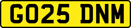 GO25DNM