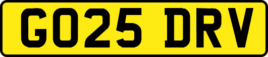 GO25DRV