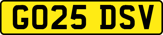 GO25DSV