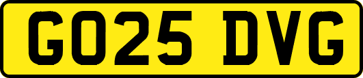 GO25DVG