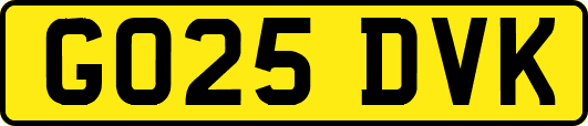 GO25DVK