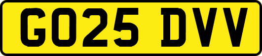 GO25DVV