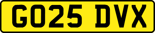 GO25DVX