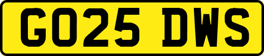 GO25DWS