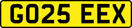 GO25EEX