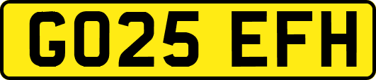 GO25EFH