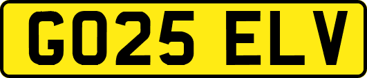 GO25ELV