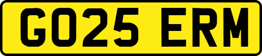 GO25ERM