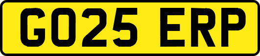 GO25ERP