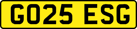 GO25ESG