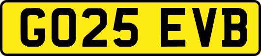 GO25EVB