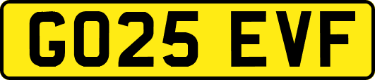 GO25EVF