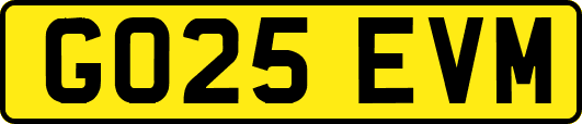 GO25EVM