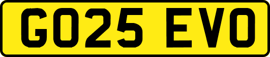 GO25EVO