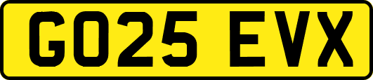 GO25EVX