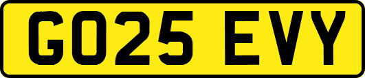 GO25EVY