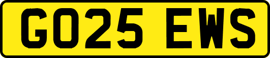 GO25EWS