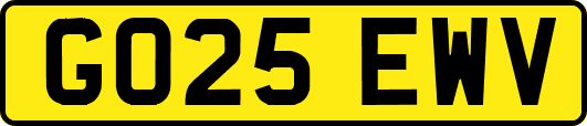 GO25EWV