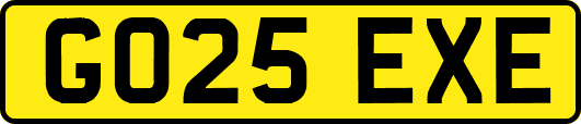 GO25EXE