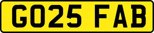 GO25FAB