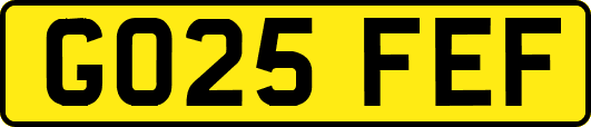 GO25FEF