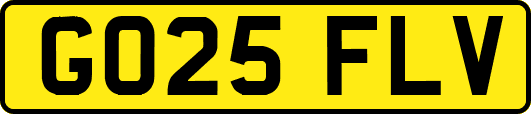 GO25FLV
