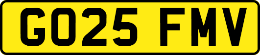 GO25FMV