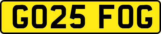 GO25FOG