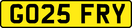 GO25FRY