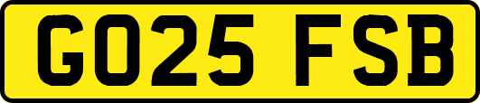GO25FSB