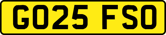 GO25FSO