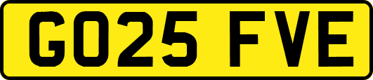 GO25FVE