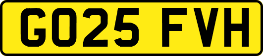 GO25FVH