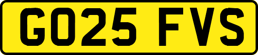 GO25FVS