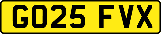 GO25FVX