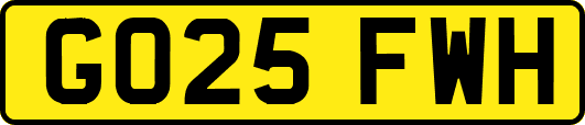 GO25FWH