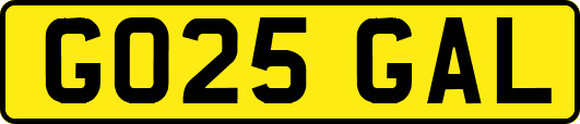 GO25GAL
