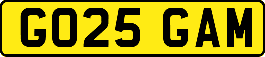 GO25GAM