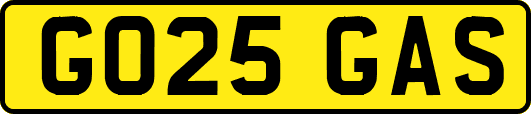 GO25GAS