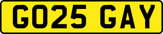 GO25GAY