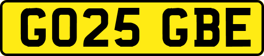 GO25GBE