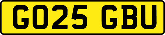 GO25GBU