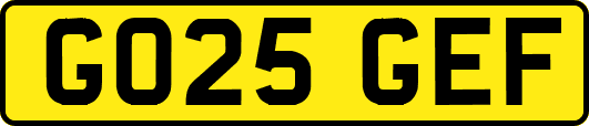 GO25GEF