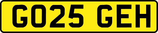 GO25GEH
