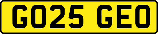 GO25GEO