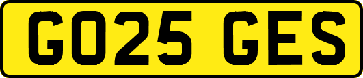 GO25GES