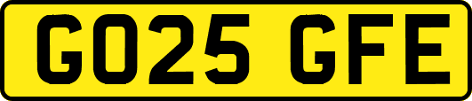 GO25GFE